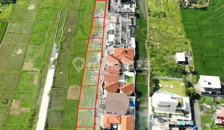 Kavling Tepi Pantai 366 m² di Seseh - Zonasi Pariwisata