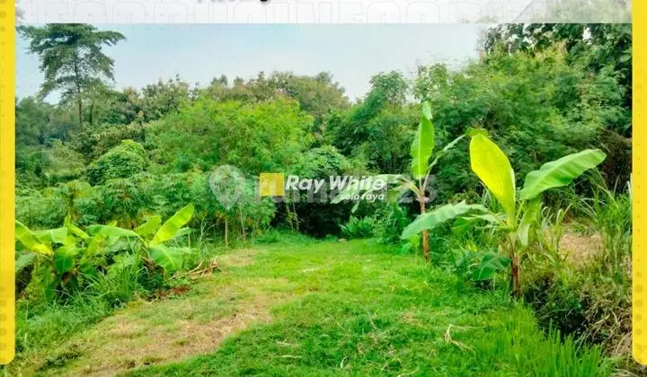 For Sale: Ready-to-Build Land in Plesungan, Gondangrejo, Karanganyar, Solo