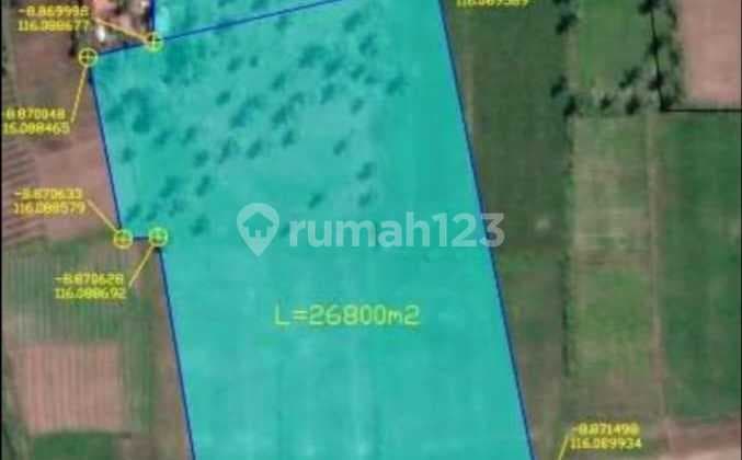 For Sale A Exclusive Beach Front Land In Buwun Mas Sekotong Lombok