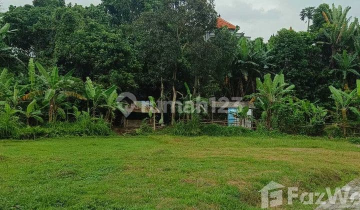 For Sale Big Land In Kediri, Tabanan