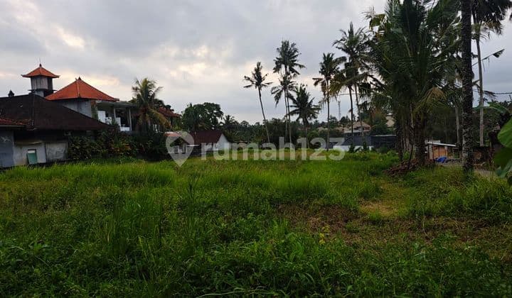 Leasehold 1779 Sqm Land Opportunity in Ubud