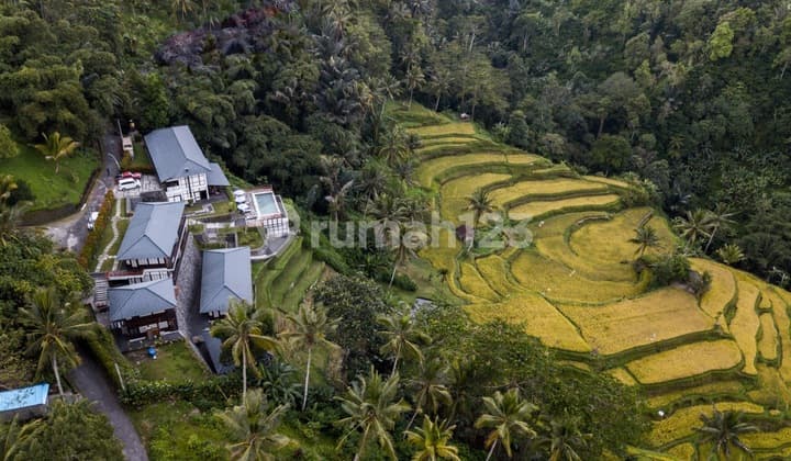 Unique Japanese Style Boutique Hotel In Sebatu/Tegalalang