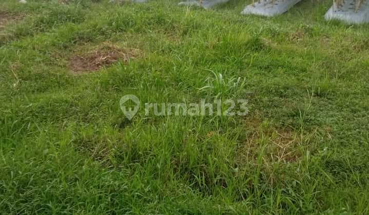 Jual Murah Tanah di Bekasi Kamp Pisangan Tambun Utara. Bekasi Depan Perumhan Dharmawangsa Residence. Luas:1700 Meter. 1400 Tanah Kosong 300Mtr Un