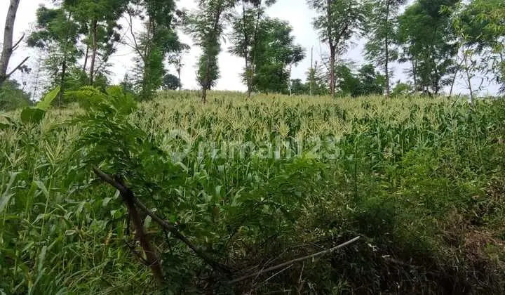 TANAH 3000m2 di SOREANG, Kab BANDUNG