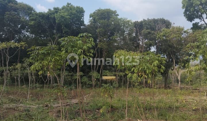 Jual Tanah di Limbangan Garut