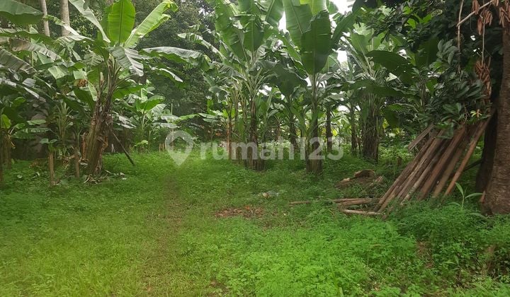 Tanah 6.000 M² Main Road Jatisampurna, Strategis, Dekat Cibubur