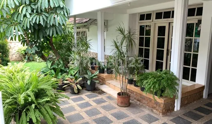 Old House for Sale, Land Area Included