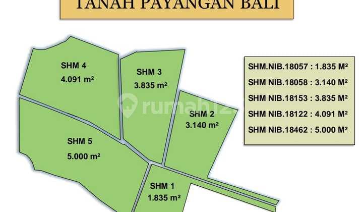 Payangan Rice Terrace: Pesona Hamparan Hijau di Ubud - Gianyar