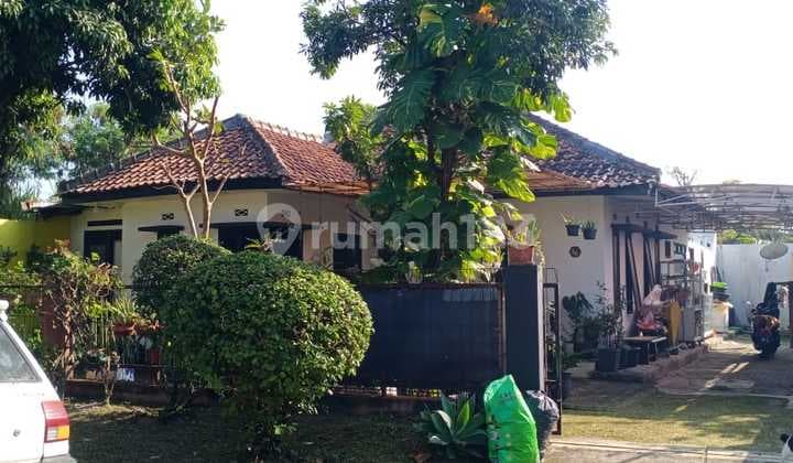 Di Jual Rumah Luas Tanah 300 Meter Area Cisaranten