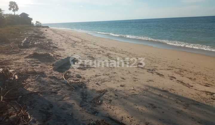 TANAH DI WAINGAPU - SURGA BELUM JATUH KE BALI,TAPI KE SUMBA TIMUR