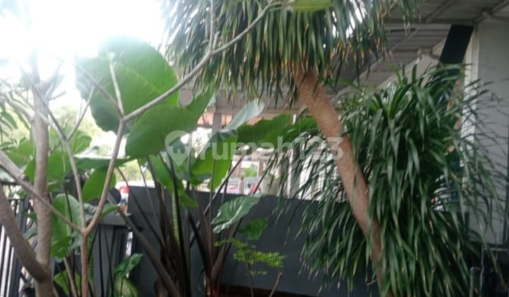 Disewakan Termurah Rumah Full Furnish di Royal Park Gunung Anyar