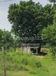 Tanah di Paciran Dekat Pelabuhan ( Jarang Ada)