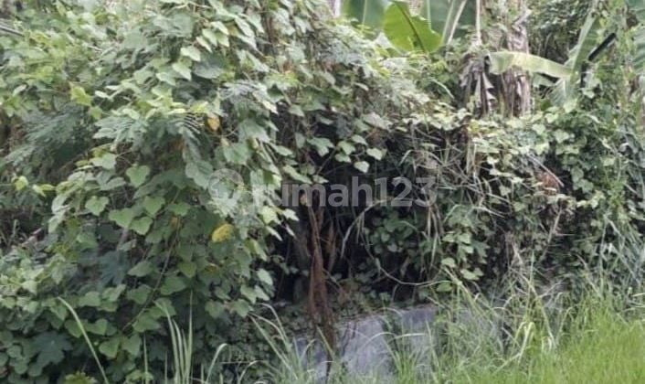 Sewa Tanah Lidah Kulon Nol Jalan Raya