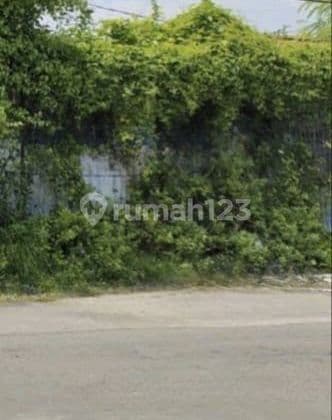 Tanah Kejawan di Sukolilo