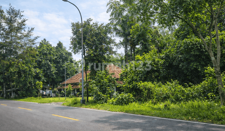 Sewa Tanah di Anyer, Serang Banten Dekat dengan Tempat Wisata