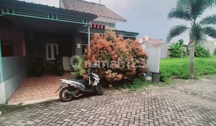 Rumah Sewa Dekat Undip,permata Tembalang