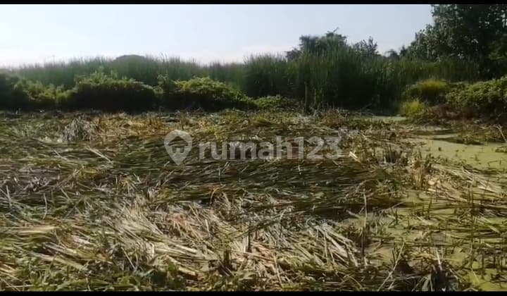 Dijual 2 Bidang Tanah Di Rungkut Wonorejo Dekat Bersebelah Ykp