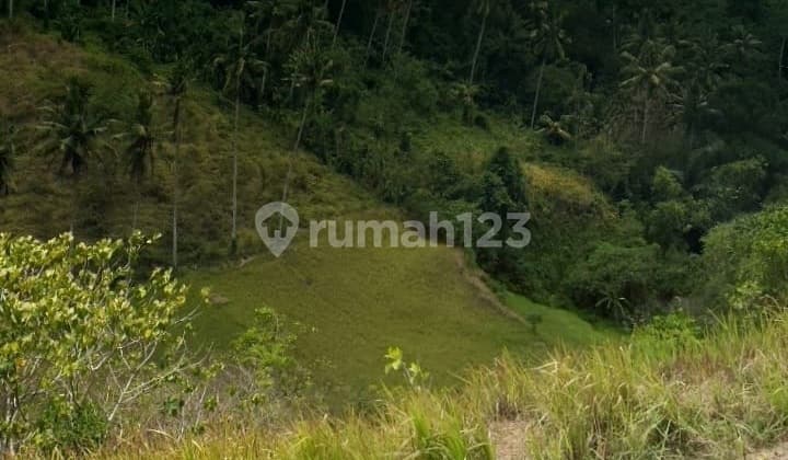 Tanah Kavling di Bangkiang Sidem Ubud dekat Monkey Forest