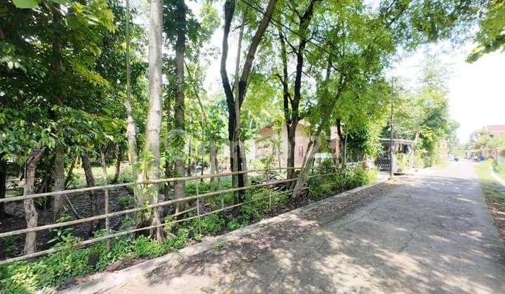 Tanah hook di Pucangan Kartosuro Solo dekat Kopasus exit tol