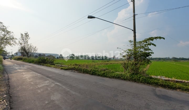 Tanah Industri Akses Kontainer di Delanggu Klaten Dekat Exit Tol