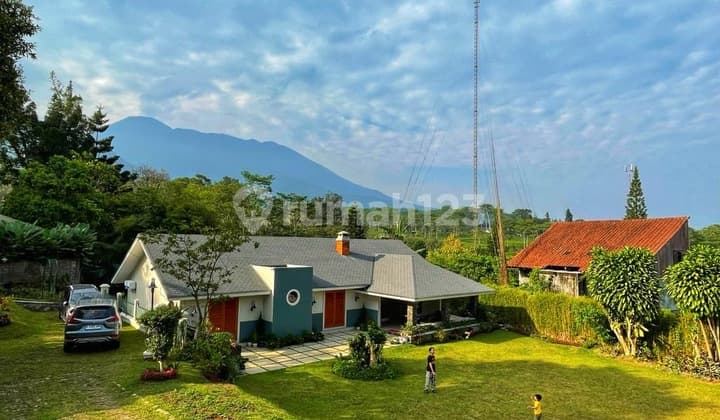 FOR RENT VILLA AT THE PANGRANGO HUIS 4 BEDROOMS FULL BATHROOM INSIDE THE ROOM, SPACIOUS YARD WITH DUTCH HOUSE AMBIANCE