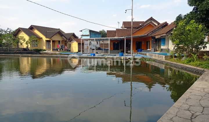Dijual Rumah, Kostan, Kolam Budidaya Ikan, Jl. Petir Dadaha, Tasikmalaya