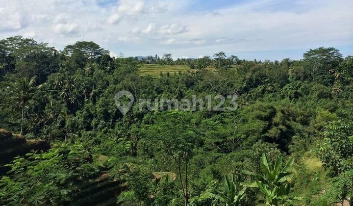 DIJUAL ASET BALI: 5.5 HA SHM (POTENSI EKSPANSI 10 HA) | EKS TAMAN NUSA GIANYAR BALI