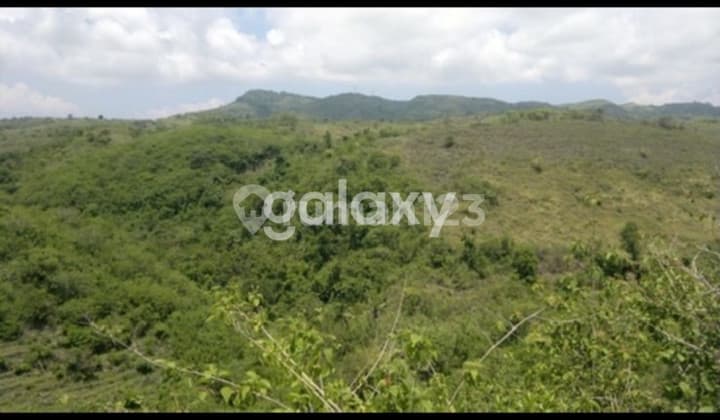 8000 Sqm Land in Batumadeg, Klungkung, Bali (Freehold Title)