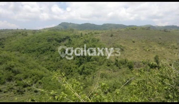 8000 Sqm Land in Batumadeg, Klungkung, Bali (Freehold Title)