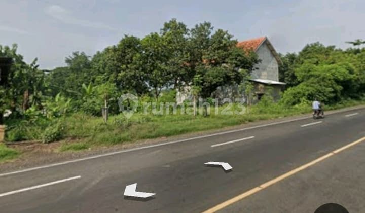 FOR SALE LAND WITH FRONTAGE ON PROVINCIAL ROAD PASURUAN NGULING ~ SEDARUM MAIN ROAD