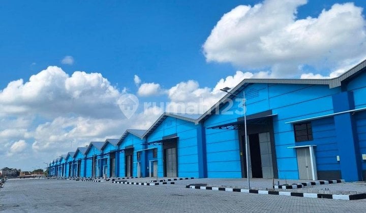 Disewakan Gudang Baru Gress di di Manyar Gresik Disewakan Gudang Baru Gress di di Manyar Gresik