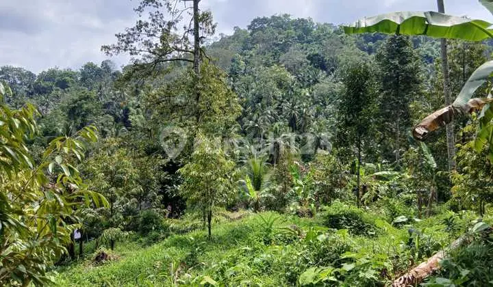 Tanah Jual Lokasi Talibeng