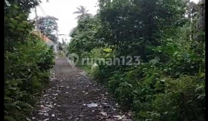 Tanah Jual Lokasi Kelusa