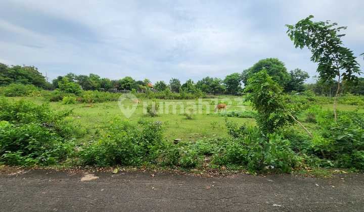 Land for Sale Location Balangan