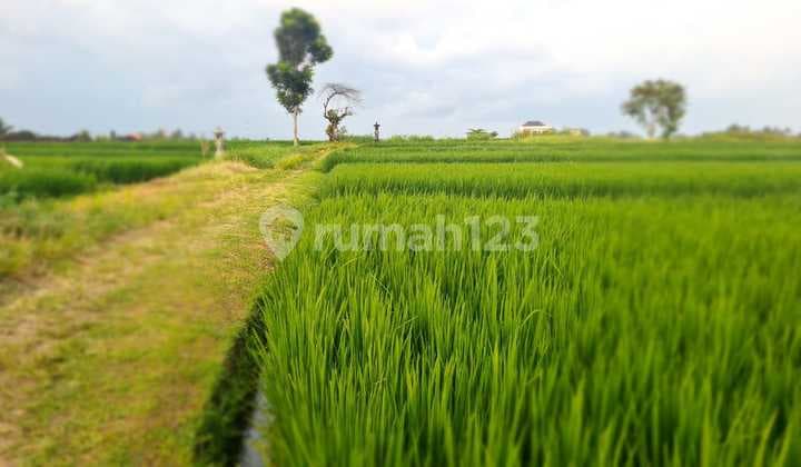 Tanah Jual Lokasi Kelating