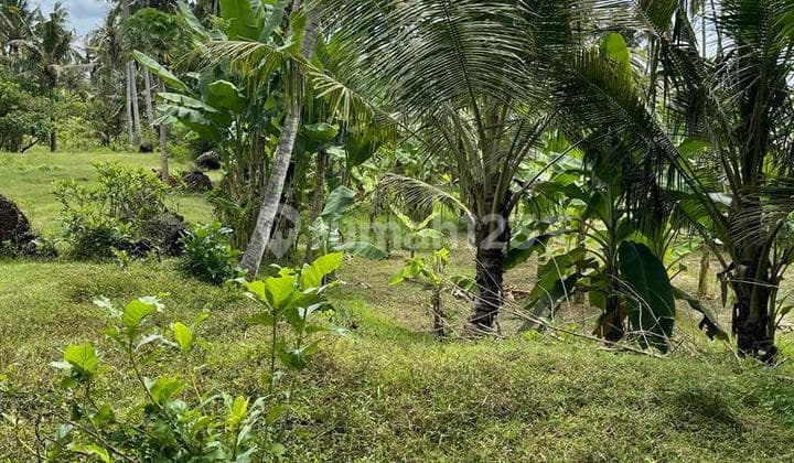 Tanah Jual Lokasi Saba