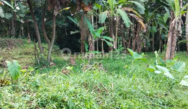 Tanah Jual Lokasi Ubud