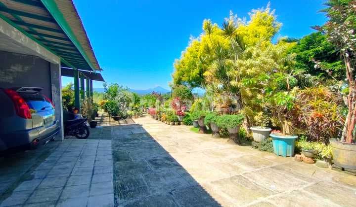 Rumah Jual Lokasi Bedugul