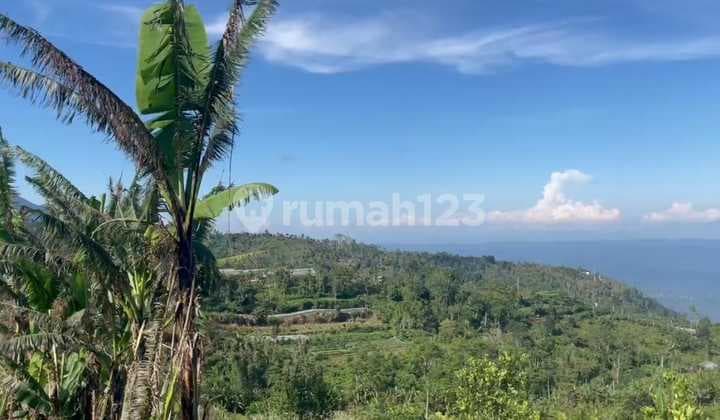 Tanah Jual Lokasi Gobleg