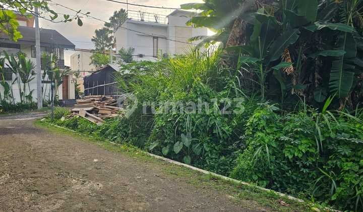 Land for Sale Location Canggu