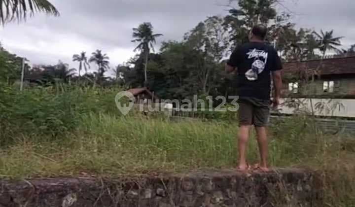 Tanah Jual Lokasi Pering