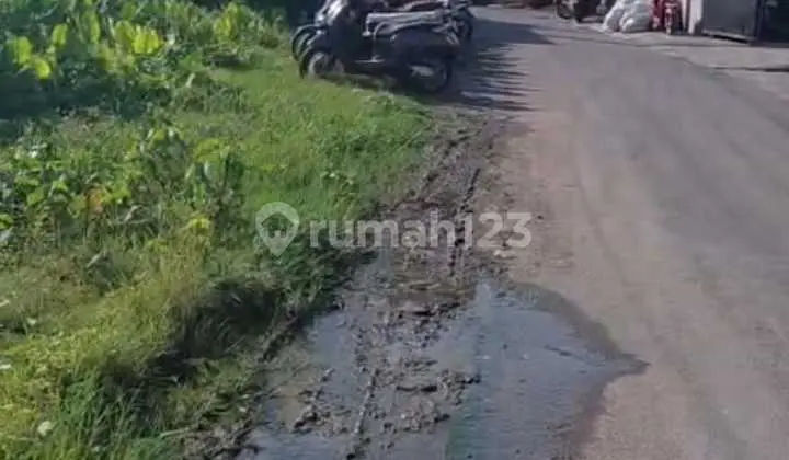 Tanah Jual Lokasi Bajataki