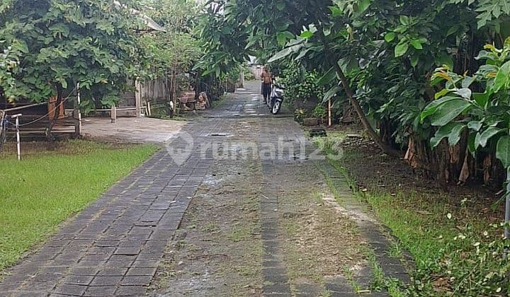Tanah Jual Lokasi Penatih