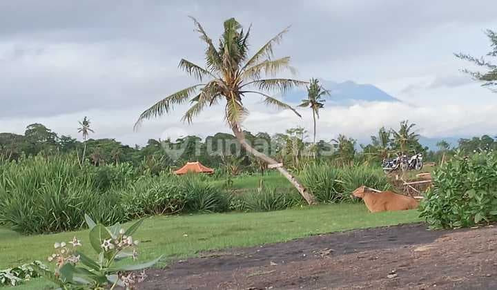 Tanah Jual Lokasi Saba