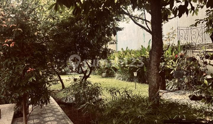 Rumah Jual Lokasi Renon