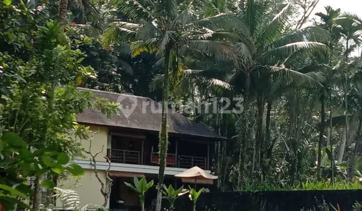 Villa Jual Lokasi Ubud