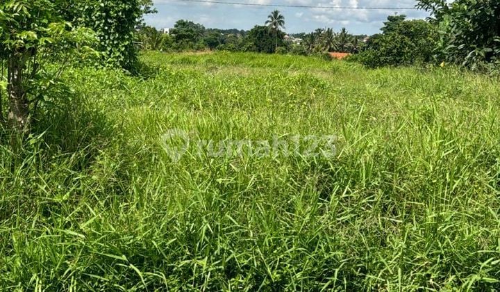 Tanah Jual Lokasi Semana