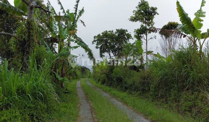 Tanah Jual Lokasi Wanagiri