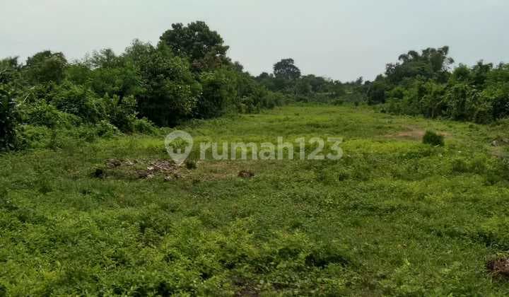 Tanah Jual Lokasi Siyut