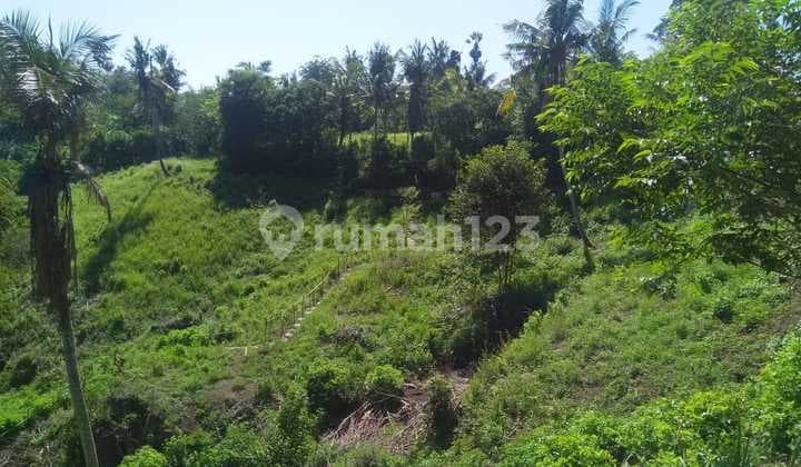 Tanah Jual Lokasi Abang